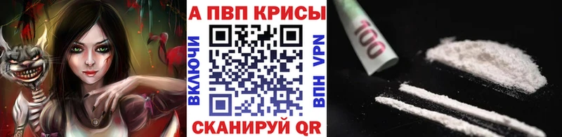 где купить Корсаков Альфа ПВП СК КРИС