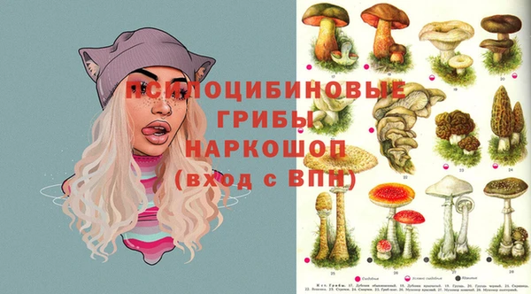spice Мегион