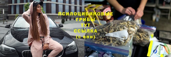 spice Мегион