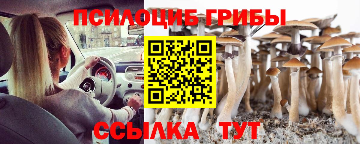 Галлюциногенные грибы Psilocybe Корсаков